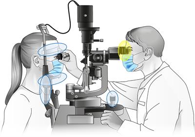 Comprehensive Compositional Analysis of the Slit Lamp Bacteriota